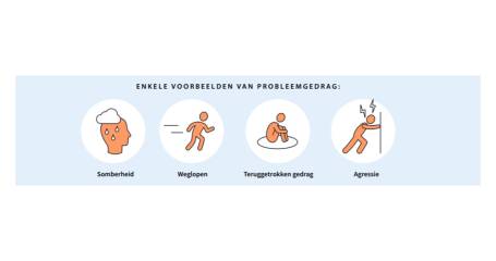 Probleemgedrag