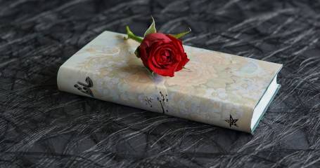 wit boek met rode roos erop ligt op donkere tafel