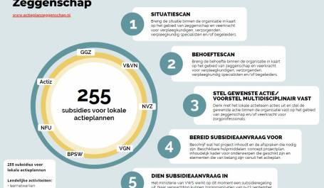 Infographic zeggenschap stappenplan subsidieaanvraag