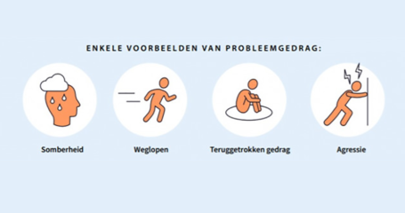 Voorbeelden van probleemgedrag