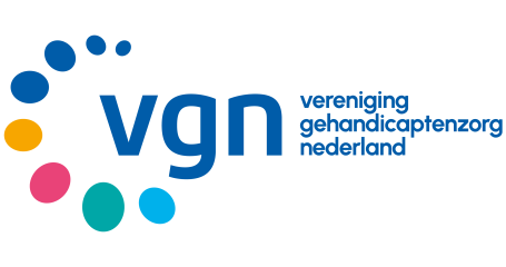 Logo VGN
