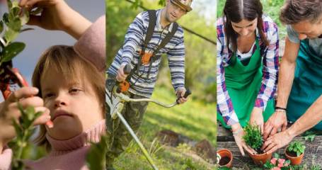 Brancheopleiding Assistent-groen