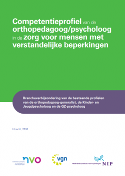 Voorkant Competentieprofiel orthopedagoog psycholoog VB