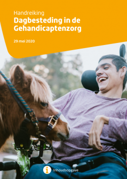 Voorkant Handreiking Dagbesteding in de Gehandicaptenzorg