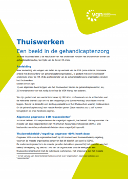 voorpagina factsheet onderzoek thuiswerken