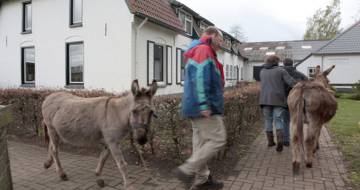 mensen lopen met ezels op de stoep