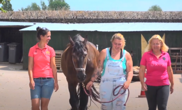 lissmo doet wat je moet doen drie vrouwen met een paard