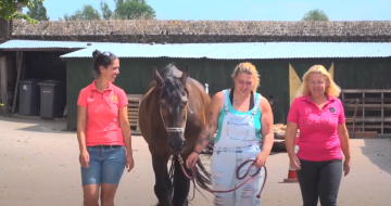 lissmo doet wat je moet doen drie vrouwen met een paard