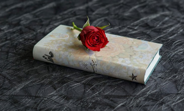 wit boek met rode roos erop ligt op donkere tafel 