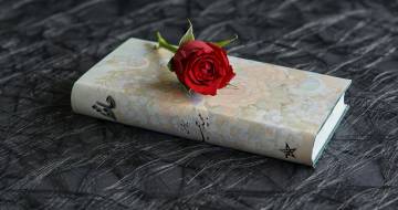 wit boek met rode roos erop ligt op donkere tafel