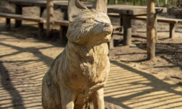 houten beeld van een vos