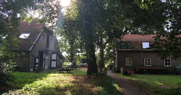 Lievegoed