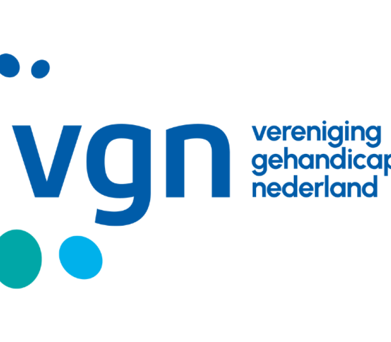 Logo VGN