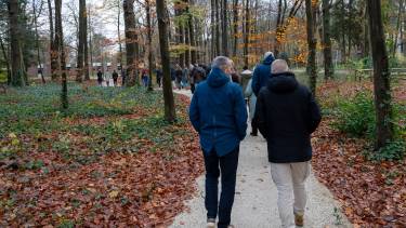 mannen wandelen in een bos